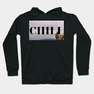 Chill Hoodie